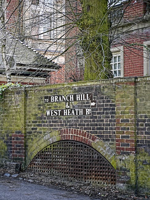View of a brick-built tunnel entrance with a metal grille at the bottom, set into a weathered brick wall covered in moss. Above the tunnel, a sign indicates directions to 'Branch Hill & West Heath Rd', attached to the wall with visible bolts. Part of a large tree with moss-covered branches extends over the wall, and a portion of a brick building with windows is visible in the background. The scene is outdoors in an urban environment, with a concrete pavement in front of the wall. The setting suggests a location associated with house removals and moving services, as represented by the nearby area infrastructure, and aligns with the context of expert furniture transport and packing for property relocations by Man with Van West Heath.